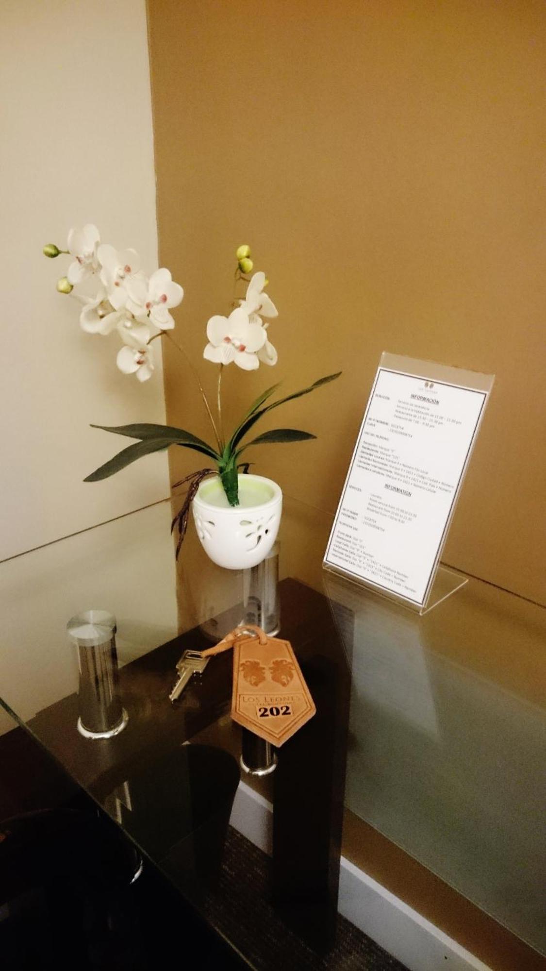 Los Leones Hotel Boutique Yanahuara Pokój zdjęcie